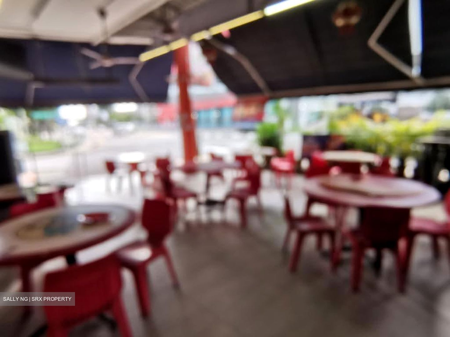 Lorong 12 Geylang (D14), Shop House #631497721